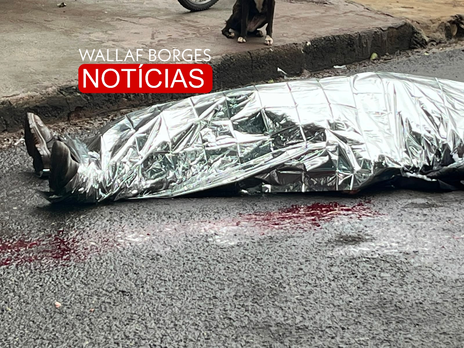 Tragédia em Maringá: homem é assassinado a facadas dentro de bar