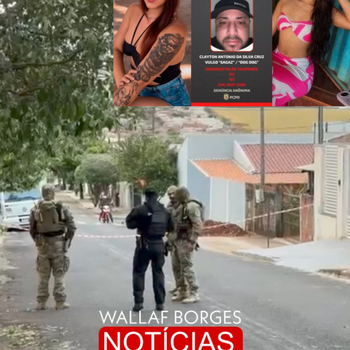Dog-dog morre em confronto com policiais após invadir residência durante fuga em Mandaguari
