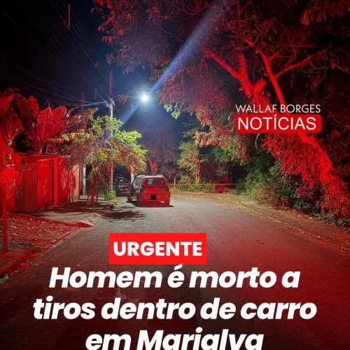 Homem é morto a tiros dentro de carro em Marialva