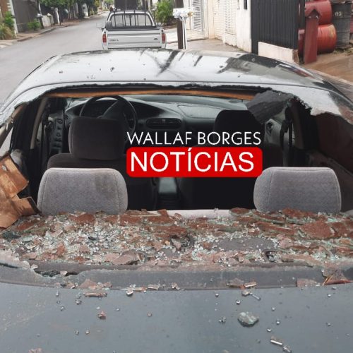 Homem em surto quebra veículos e agride Guarda Civil em Maringá