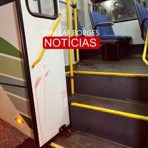Passageiro é assassinado com múltiplas facadas dentro de ônibus em Maringá; suspeito foge após ataque