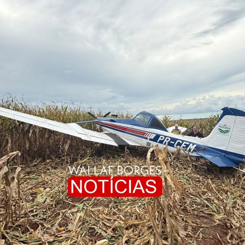 Avião agrícola faz pouso forçado em plantação na zona rural de Marialva, Piloto escapa sem ferimentos graves