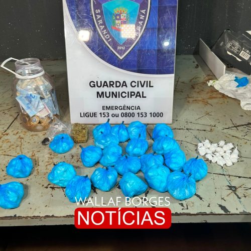 Ação da Guarda Civil interrompe tráfico de drogas e apreende entorpecentes no Jardim Monte Rei em Sarandi