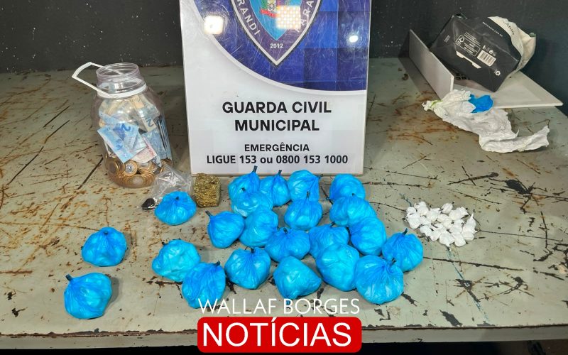 Ação da Guarda Civil interrompe tráfico de drogas e apreende entorpecentes no Jardim Monte Rei em Sarandi