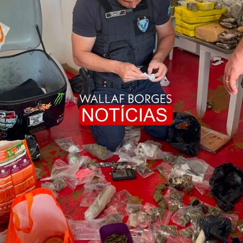 Grande apreensão de drogas é realizada em residência no Jardim Escala, em Sarandi