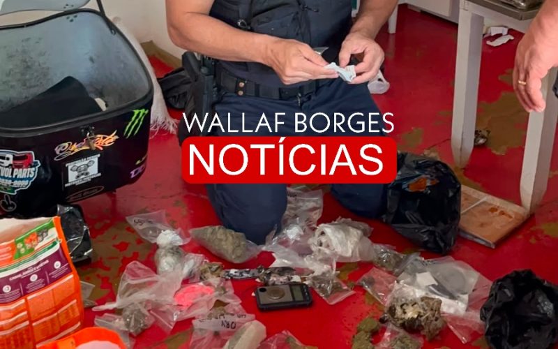 Grande apreensão de drogas é realizada em residência no Jardim Escala, em Sarandi