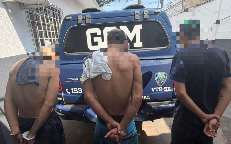 GUARDA CIVIL MUNICIPAL DE SARANDI  APREENDE DROGAS E LOCALIZA CULTIVO DE CANNABIS