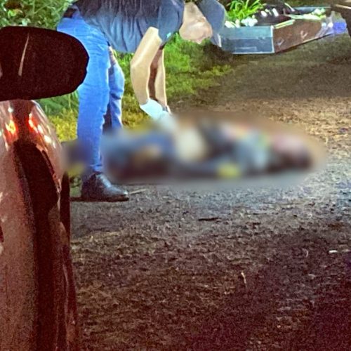 CONFRONTO NA PR-323 TERMINA COM SUSPEITO MORTO E 236 QUILOS DE MACONHA APREENDIDOS EM JUSSARA