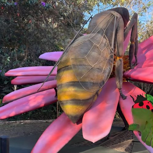 Parque do Ingá recebe exposição com réplicas gigantes de insetos e aracnídeos a partir de setembro