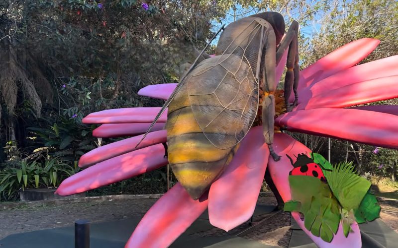 Parque do Ingá recebe exposição com réplicas gigantes de insetos e aracnídeos a partir de setembro