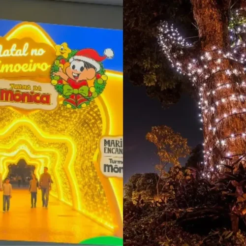 Turma da Mônica será a atração principal do Túnel Iluminado na Maringá Encantada 2026