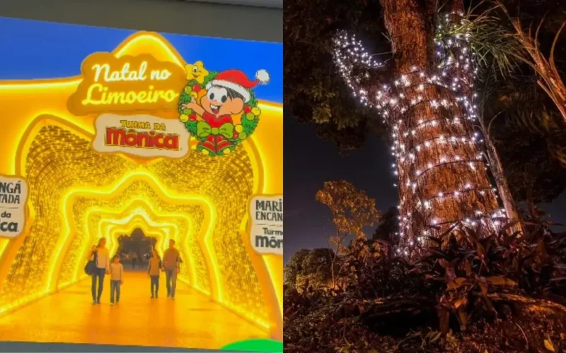 Turma da Mônica será a atração principal do Túnel Iluminado na Maringá Encantada 2026